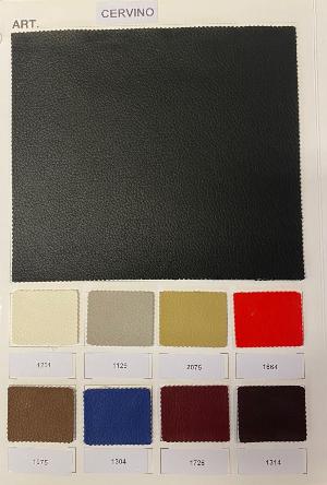 CERVINO 